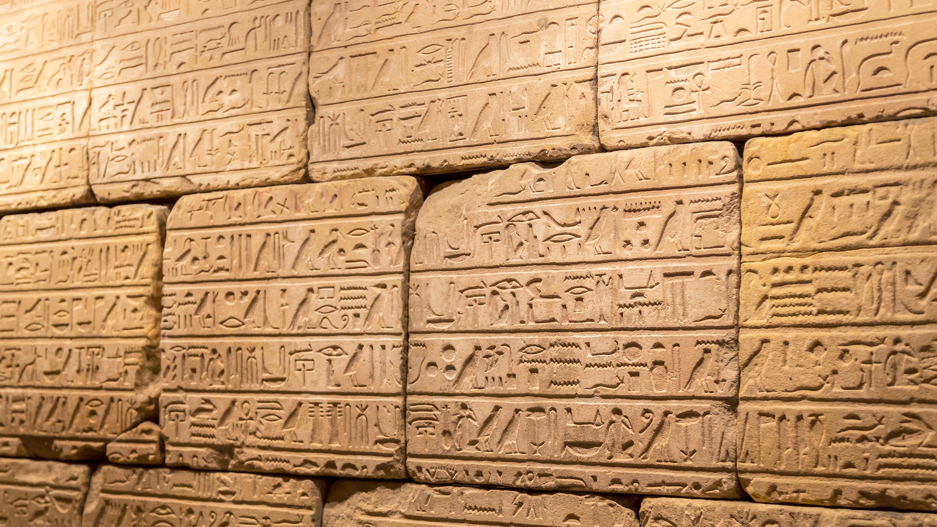 Ancient Egypt were not white