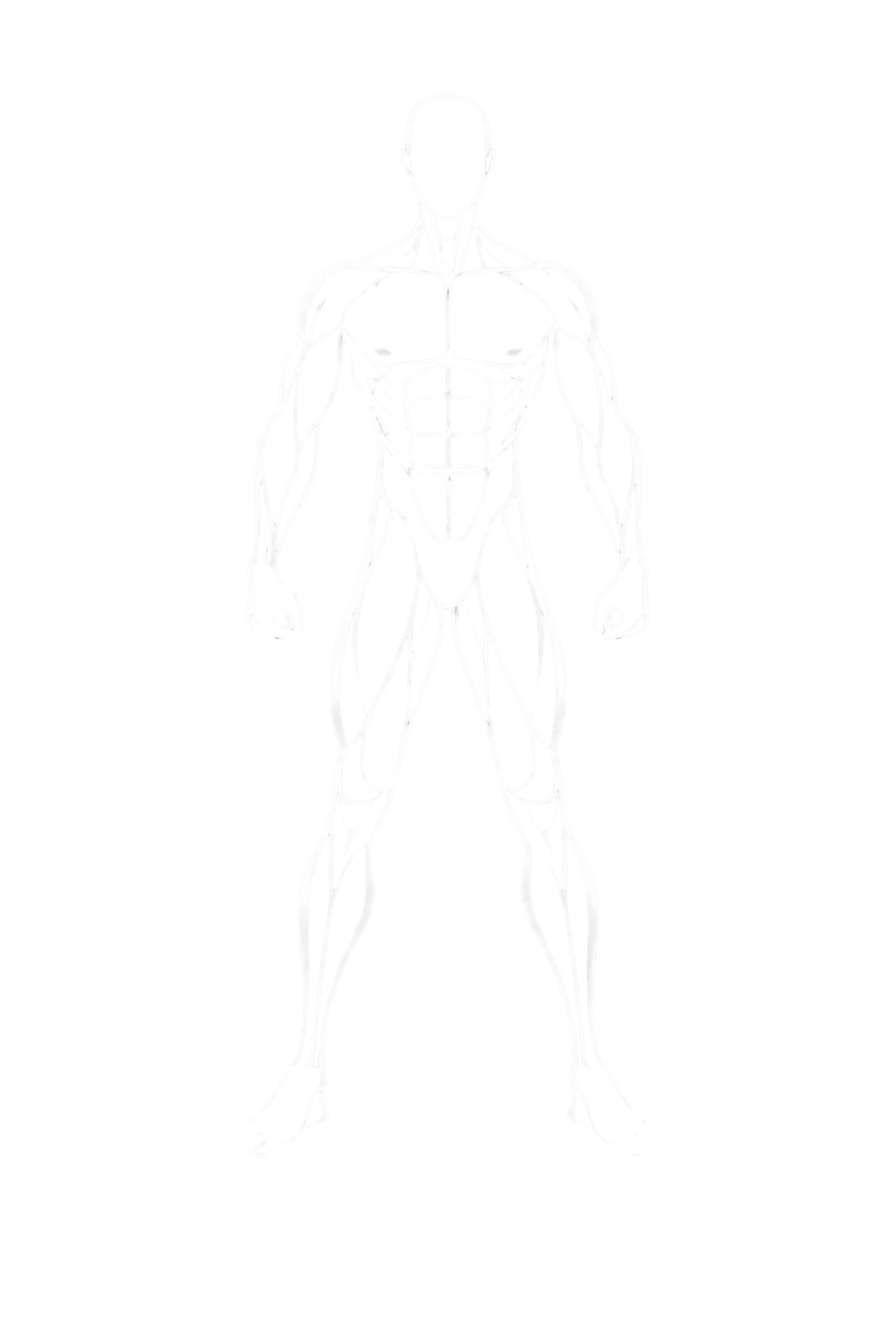 Ectomorph Body Type