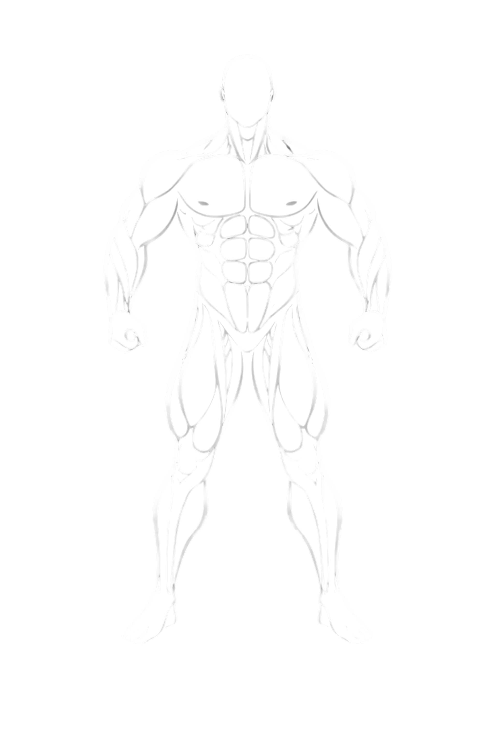 Mesomorph Body Type